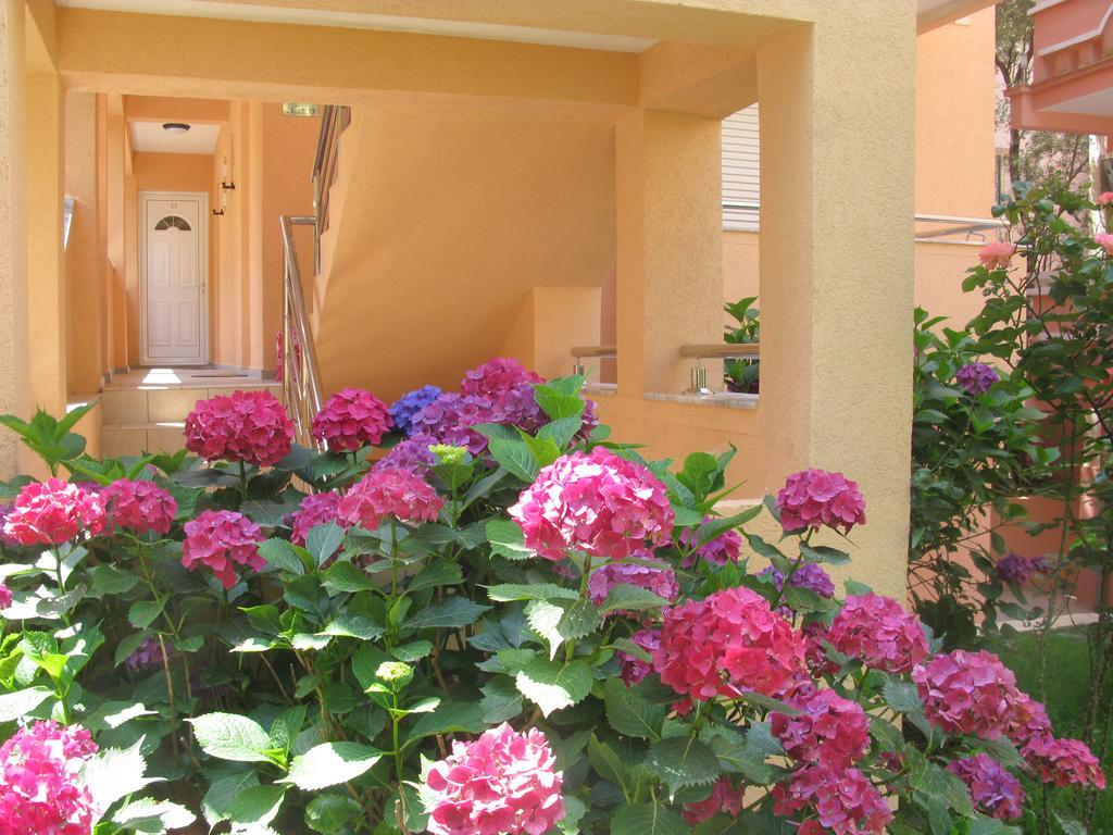 Garni Hotel Koral ブドヴァ エクステリア 写真